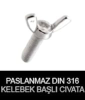 paslanmaz dın 316 kelebek başlı cıvata
